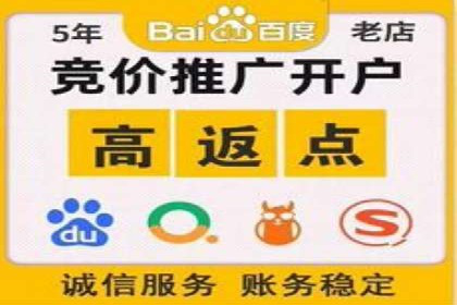 行业案例研究：SEM竞价托管的策略与挑战